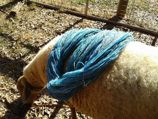 We support local shepherds