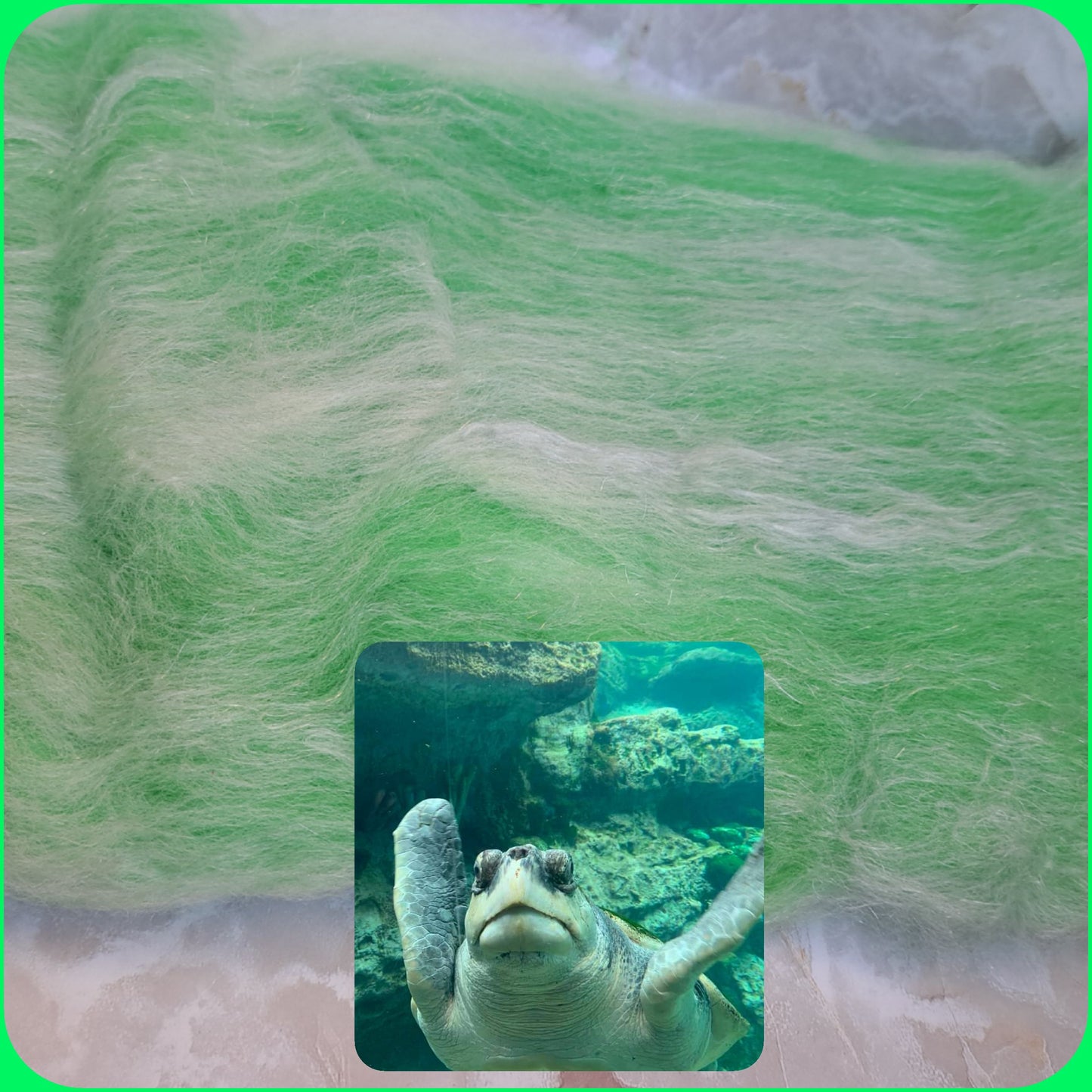 Sea the Green 3 ounces