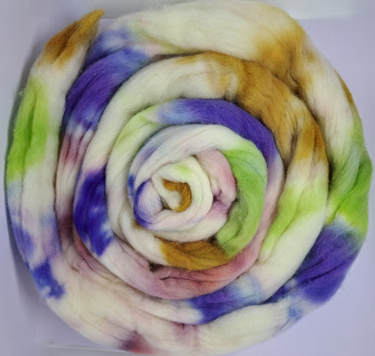 Hunting for Seashells / 4 ounces hand dyed wool