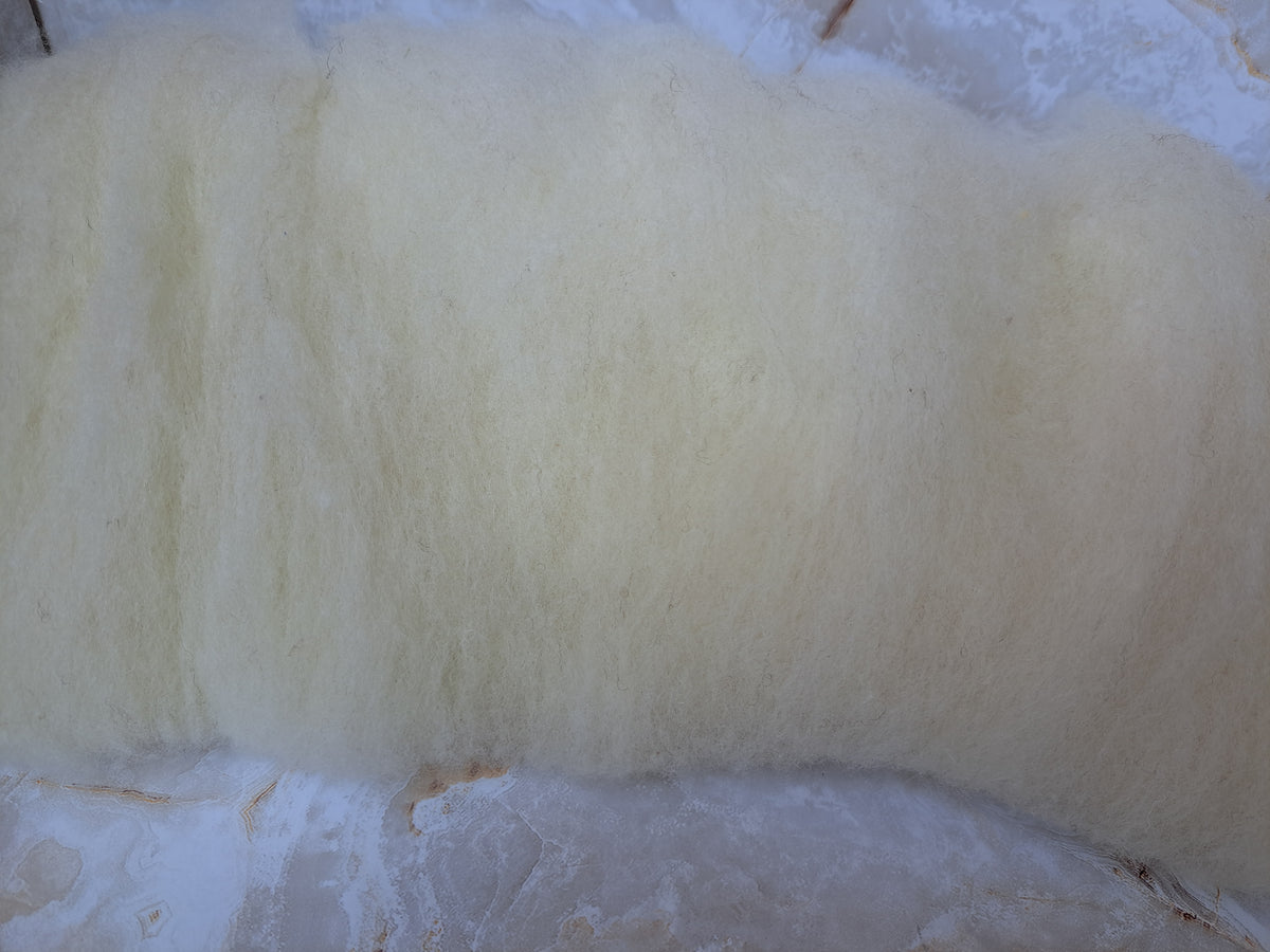 Jacob Fiber Jacob 2-ounce batts -- White (se2se) – Fairily Fiber Fun