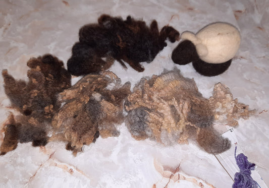 Beginner Sheep Felting Kit -- Spotted